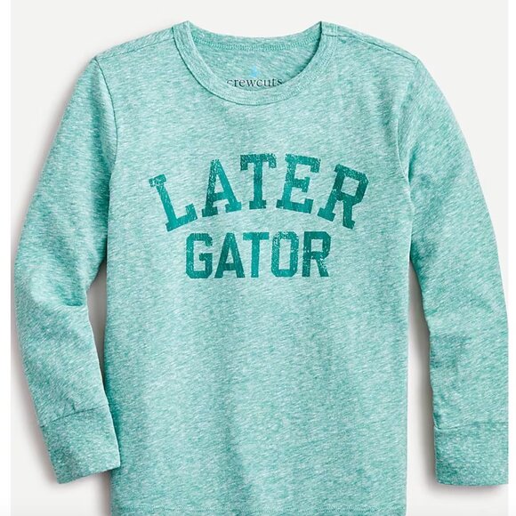 J.Crew Crewcuts Kids' long-sleeve graphic tee in broken-in-jersey Size 6 - 7 - Picture 1 of 4